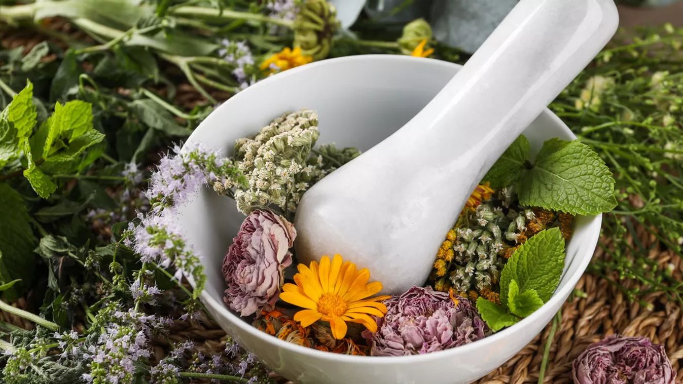 Mortar,With,Pestle,And,Many,Different,Herbs,On,Table,,Closeup