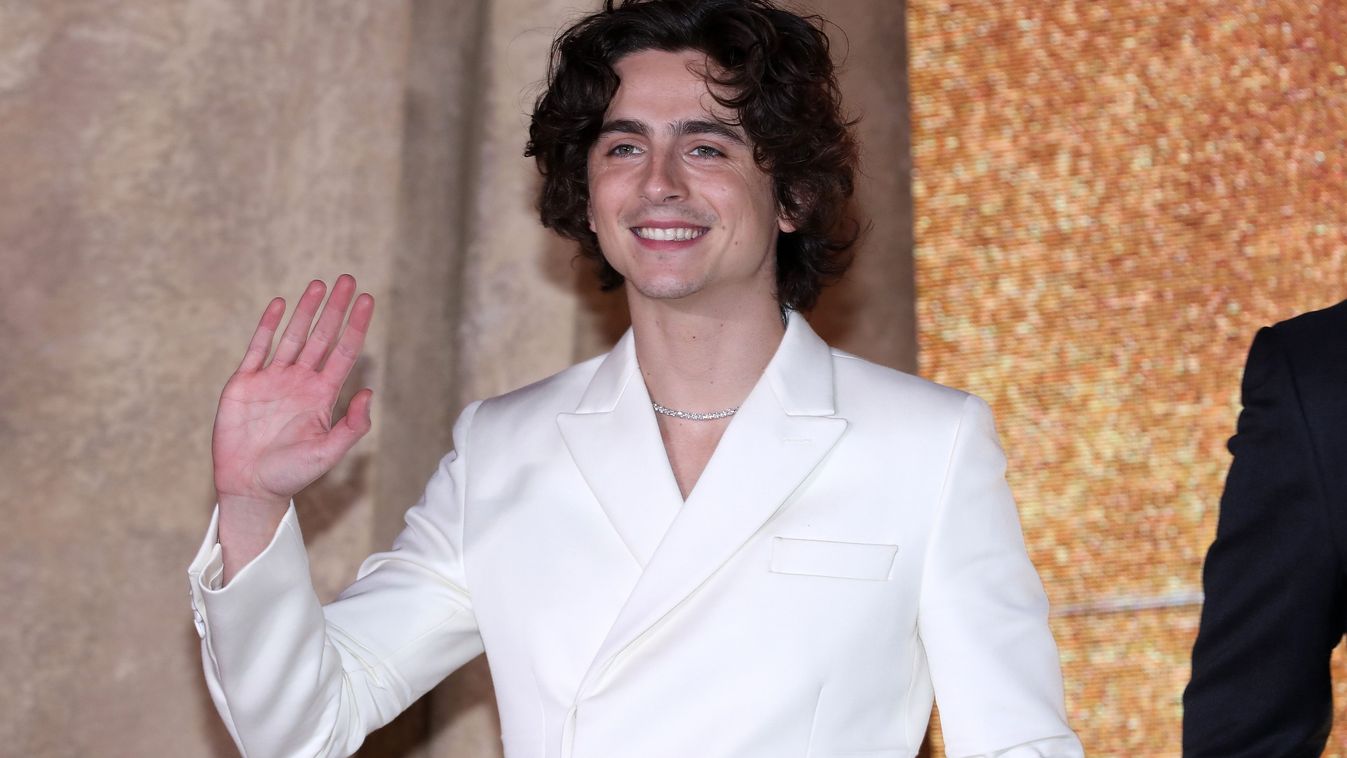 Timothee Chalamet 