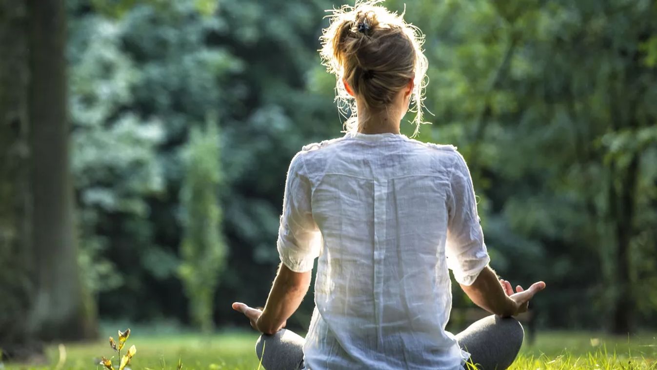 meditáció, meditálás, erdő, lótuszülés, nő, lány, természet, relaxáció, jóga