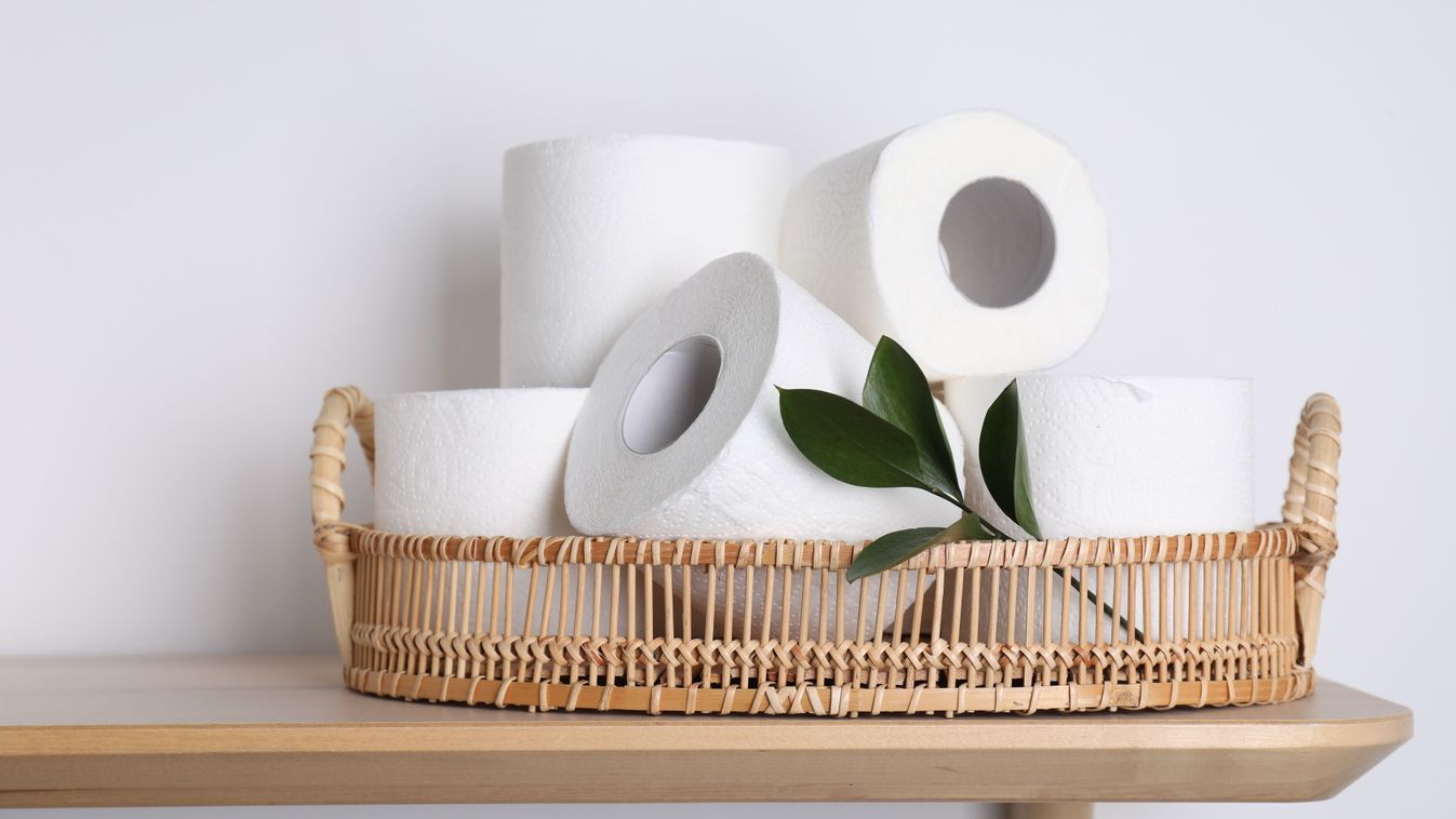 Toilet,Paper,Rolls,And,Green,Leaves,On,Wooden,Table,Near