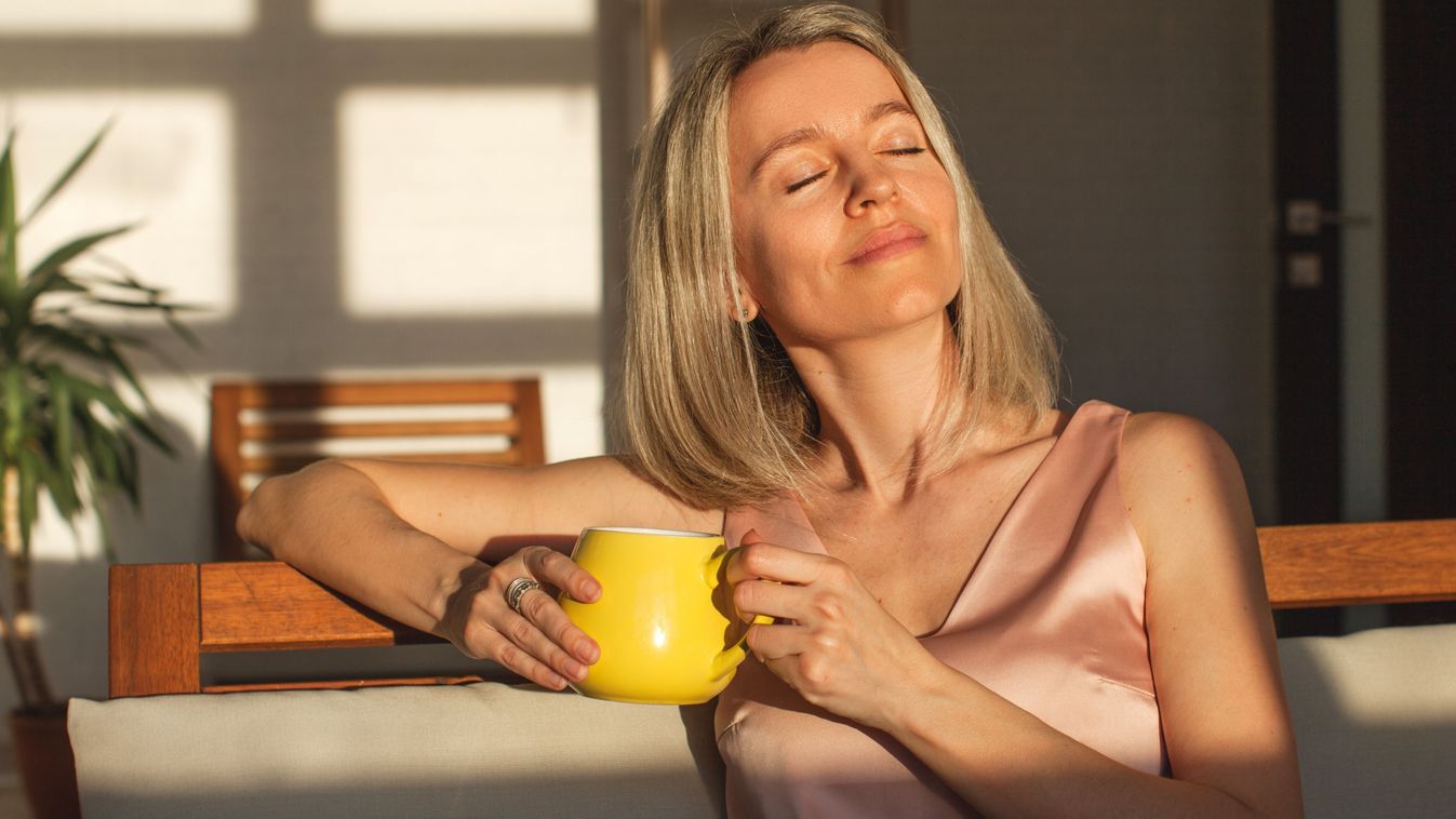 Attractive,Happy,Middle,Aged,Woman,Is,Sitting,On,Sofa,In