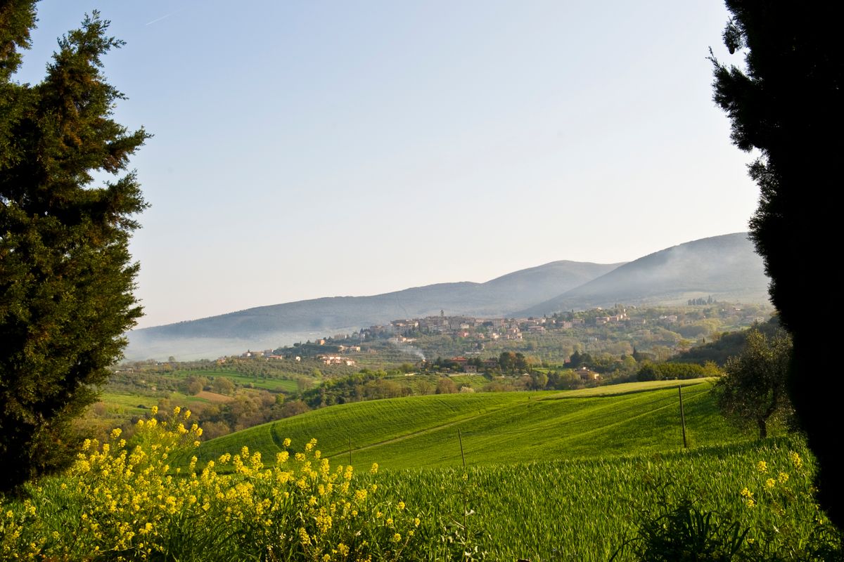 Landscape Near Montecchio, Umbria, Italy