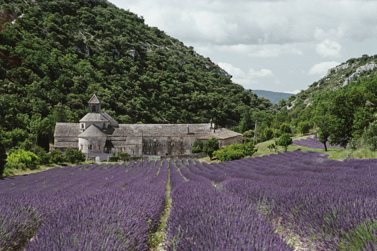 Lavender field in Gordes - Provance-i levendulamező