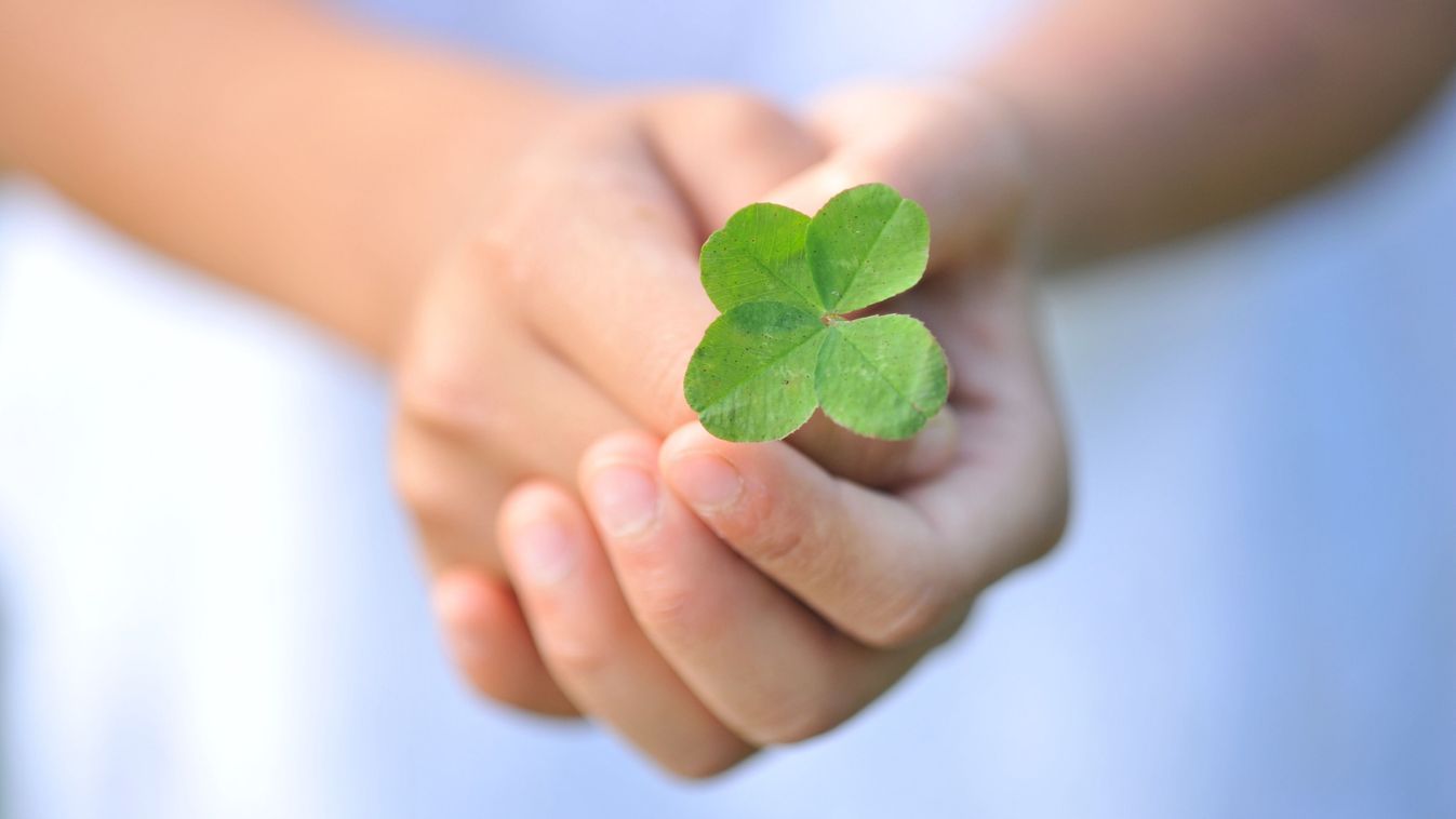 Four,Leaf,Clover,In,Hand,,Symbol,Of,Good,Luck