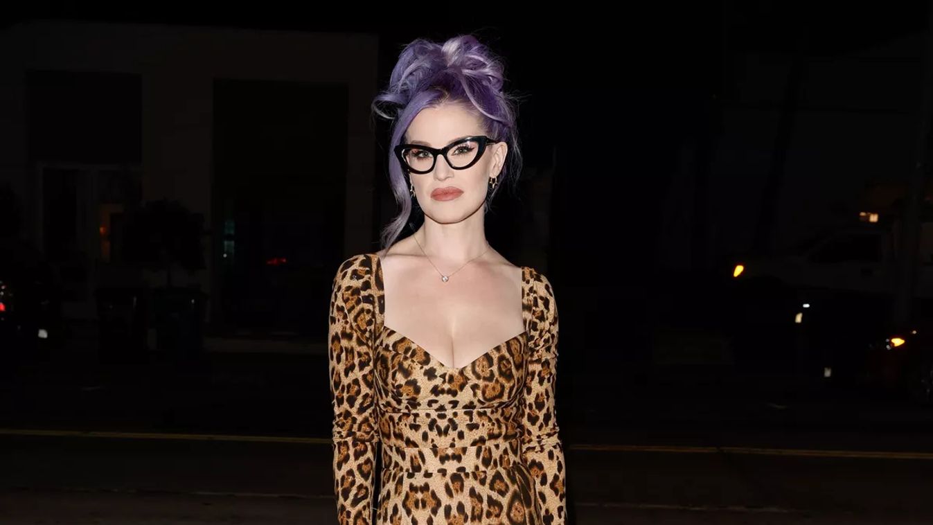 Celebrity Sightings In Los Angeles - August 29, 2023