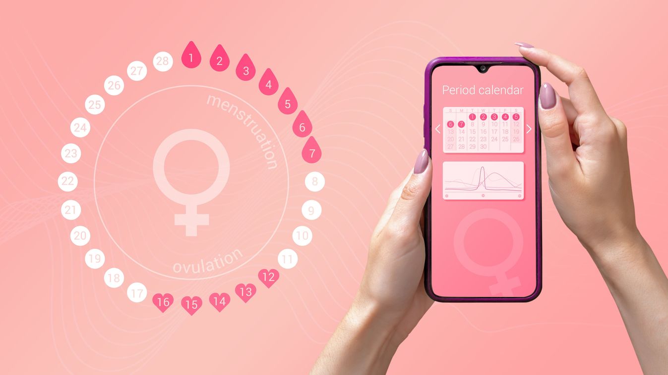 Menstrual,Cycle,Tracker,Mobile,App,On,Smartphone,Screen,In,Hands