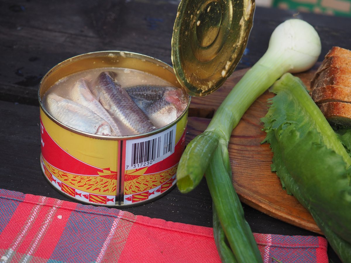 Opened,Can,Of,Fermented,Herrnings,In,Brine,(surströmming),With,Green
 Surströmming - Erjesztett hering