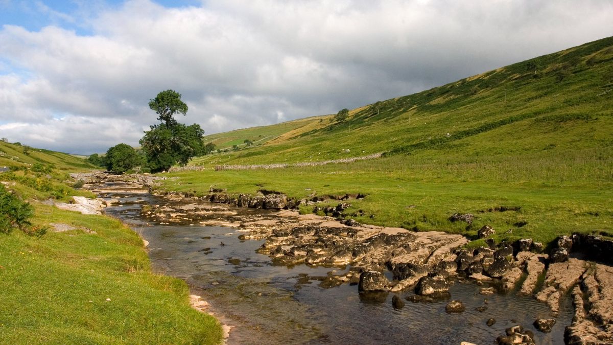 River Wharfe, folyó, patak,