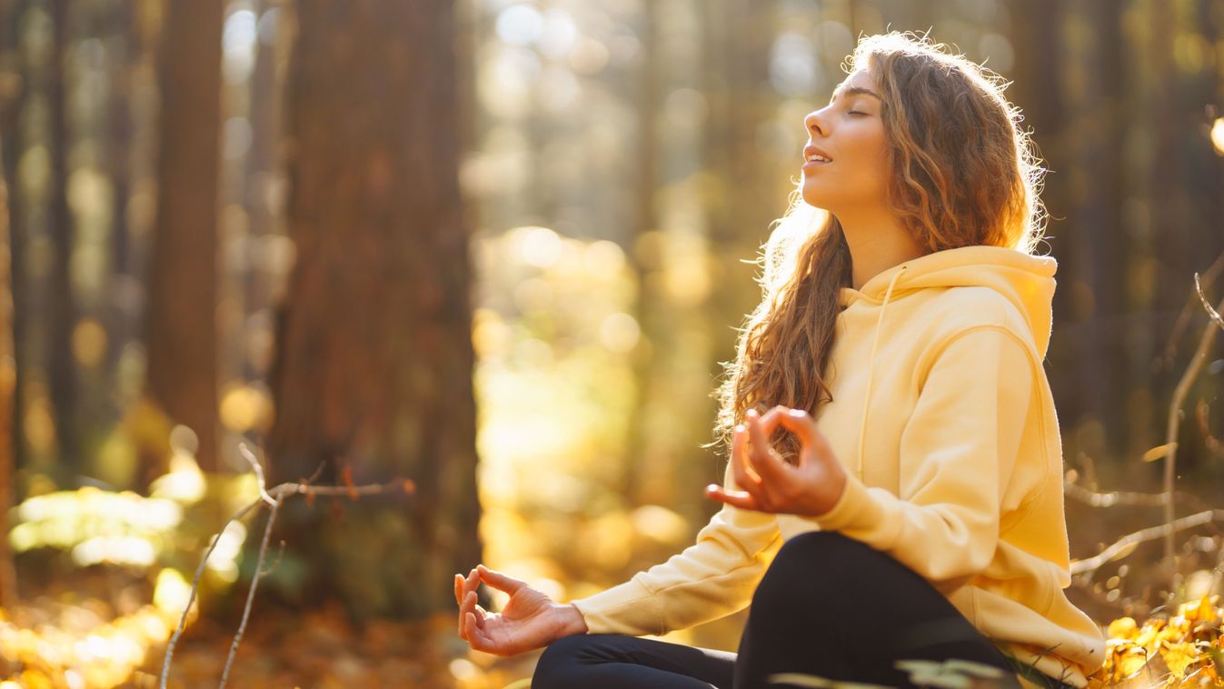 Active,Woman,Practices,Yoga,In,The,Autumn,Forest,Among,Yellow