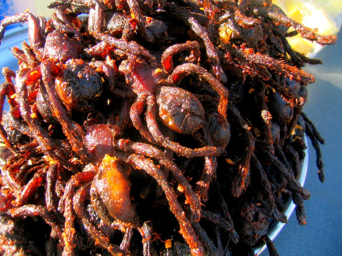 Spiders,In,Village,Of,Skuon.,Cambodia