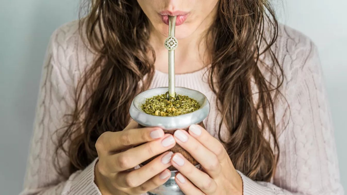 mate tea