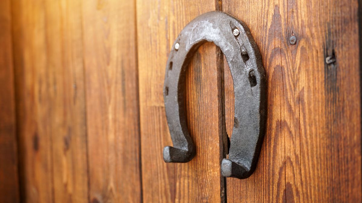 A,Horseshoe,For,Good,Luck,Hanging,On,A,Wooden,Door.