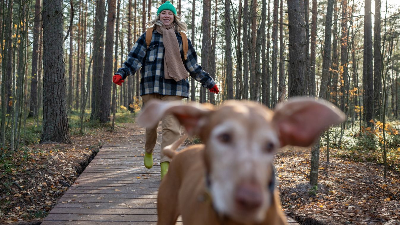 Woman,Running,Ahead,Dog,Enjoying,Nature,On,Ecotrope,In,Scandinavian