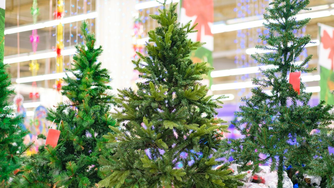 Artificial,Christmas,Trees,Ion,Shelf,N,Different,Sizes,In,Supermarket