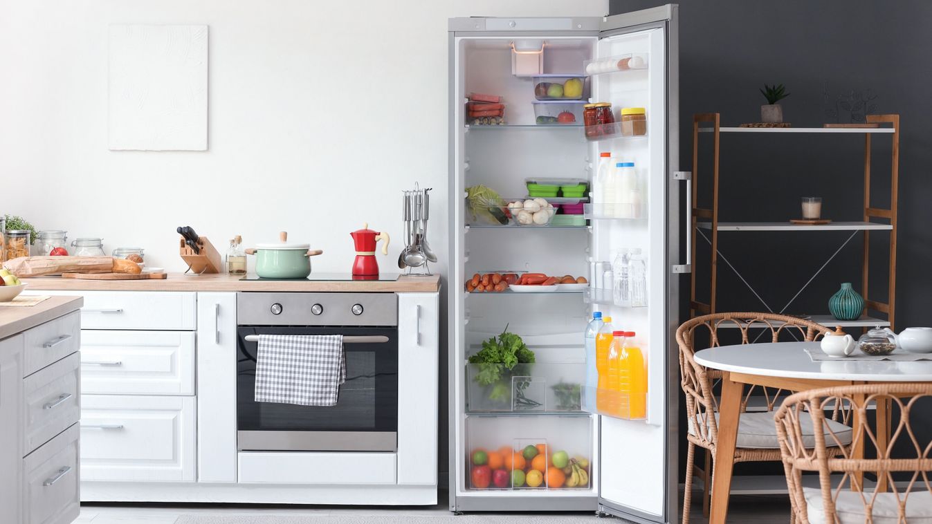 Open,Fridge,Full,Of,Fresh,Food,Near,White,Wall,In