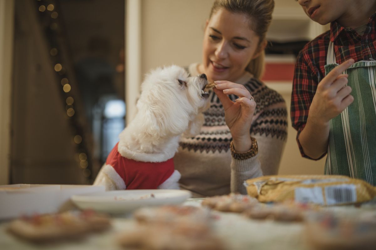 Mature,Woman,Is,Baking,Christmas,Biscuits,With,Her,Son.,Her