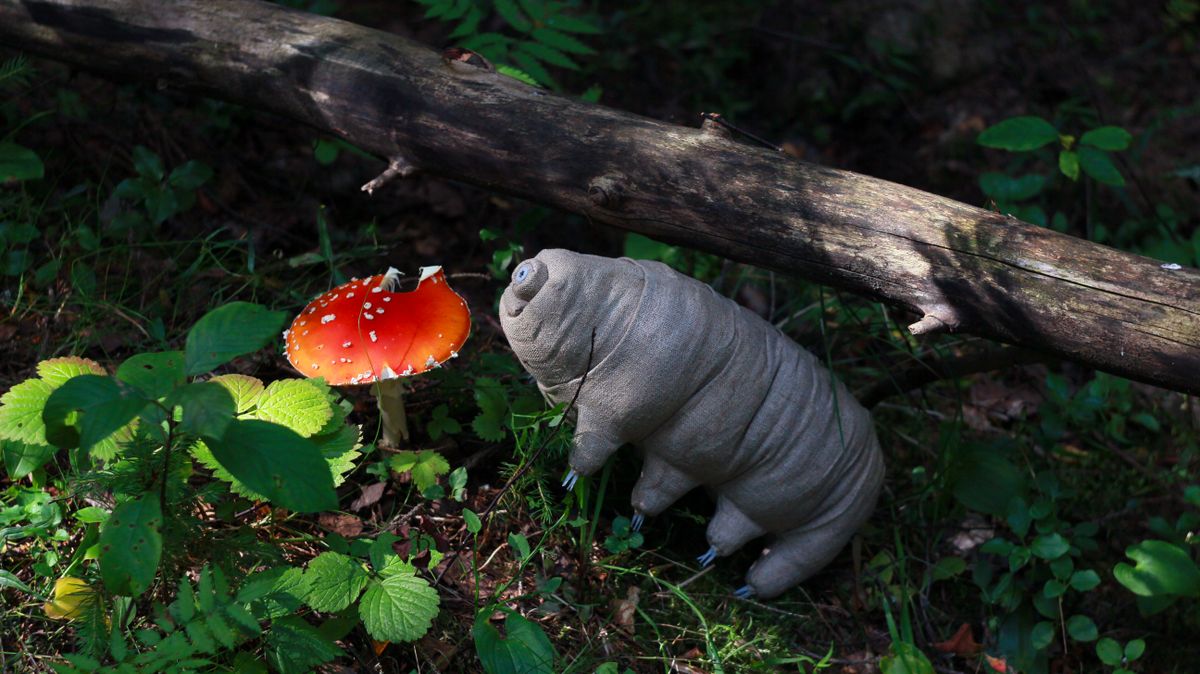 Toy,Tardigrada,And,Flyagaric,In,The,Forest