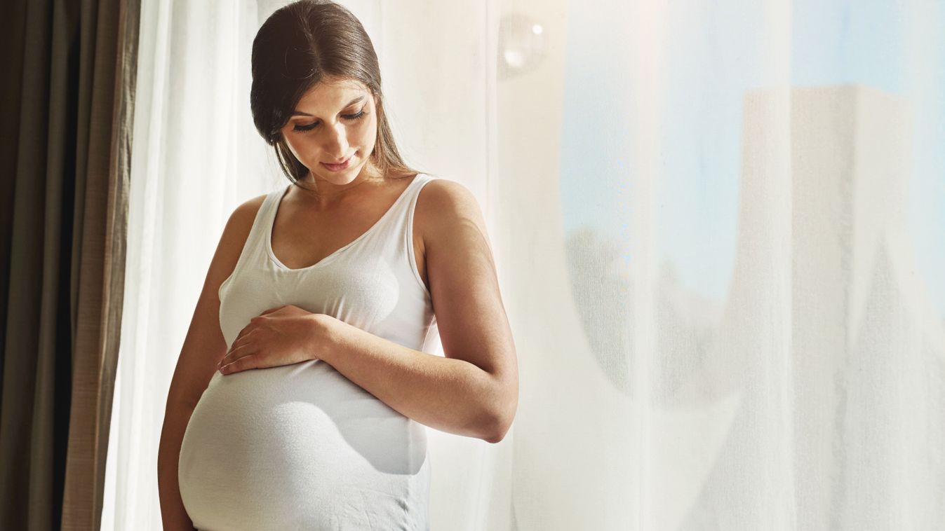 Pregnant,,Happy,And,Woman,By,Window,In,Home,Hold,Stomach