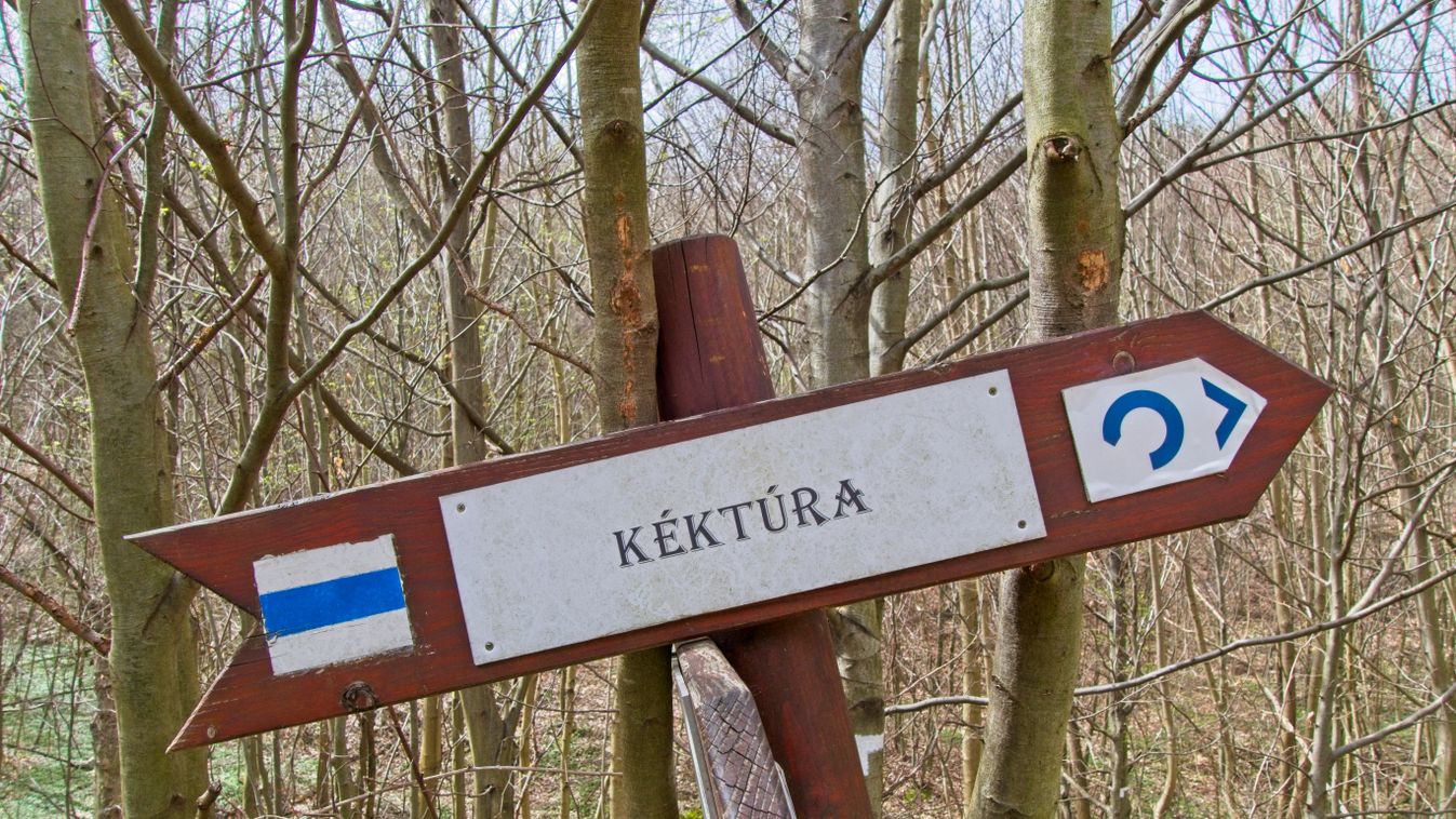 Hungarian,National,Blue,Trail,Sign,(hungarian:,Kéktúra),And,Blue,Hiking