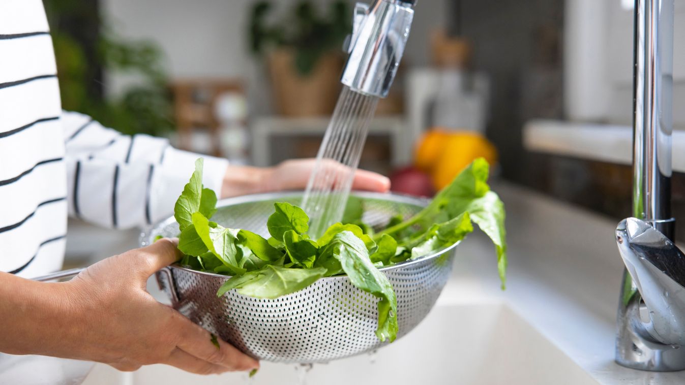 Woman,Washing,Green,Arugula,Salad,Greens,In,Colander,By,Kitchen