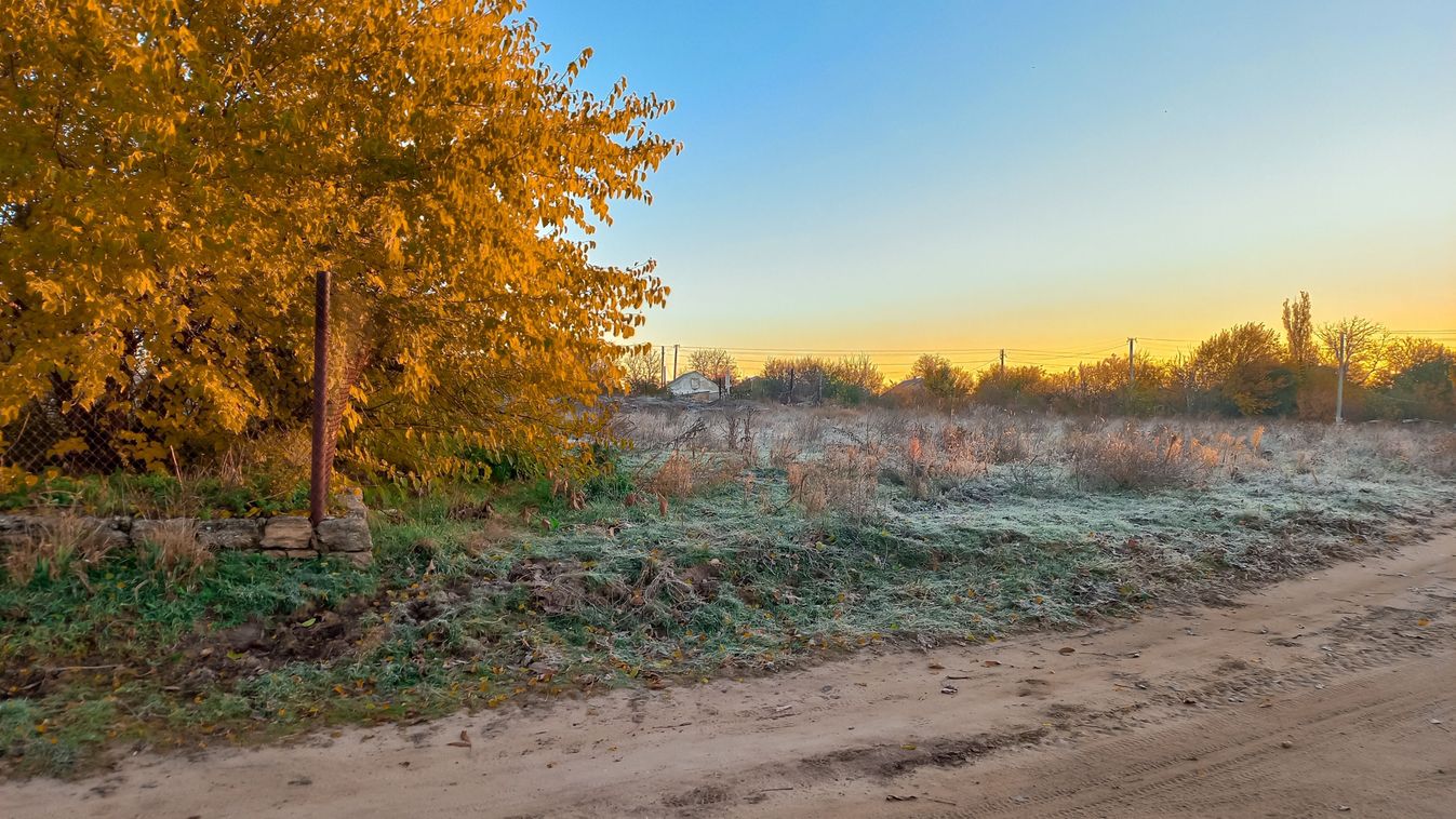 Tree,With,Yellow,Leaves.,Autumn,Landscape,In,The,Village,Early