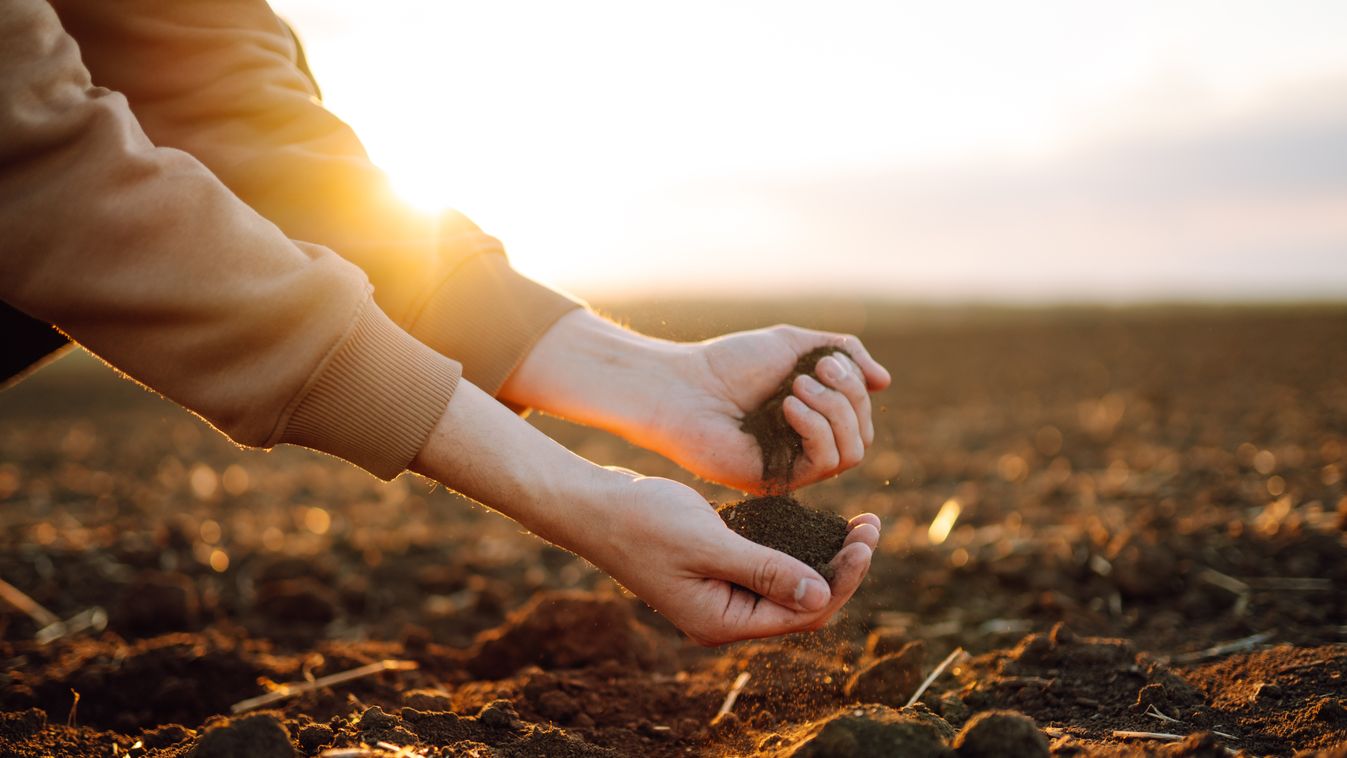 Farmer,Holding,Soil,In,Hands,Close-up.,Male,Hands,Touching,Soil