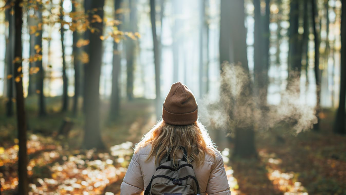 Foggy,Cold,Morning,Weather,In,Autumn.,Woman,With,Backpack,And