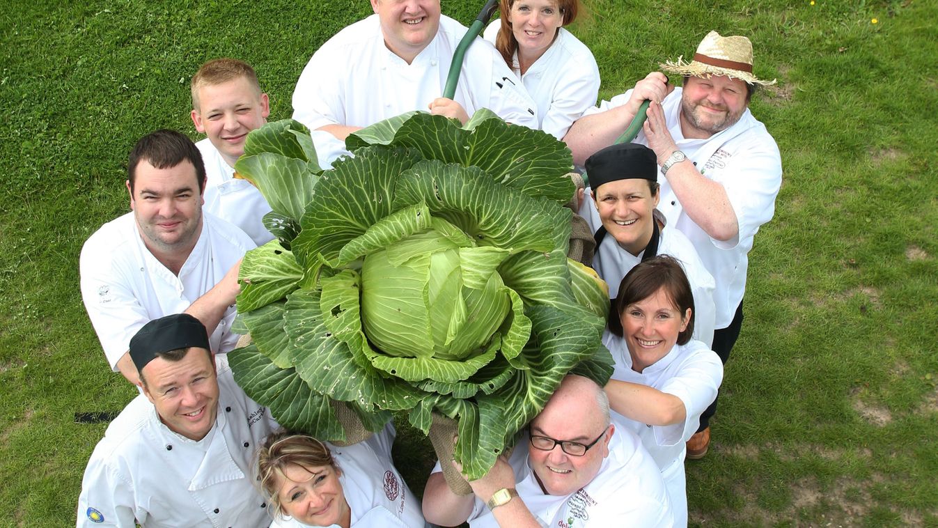 Harrogate Autumn Flower Show