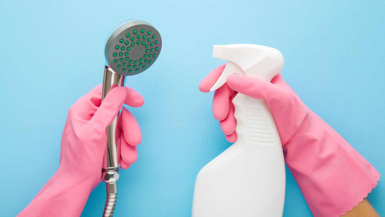 Woman,Hands,In,Pink,Protective,Rubber,Gloves,Holding,White,Plastic