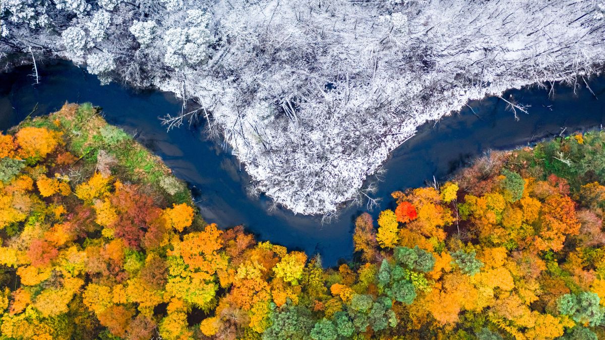 Winter,Is,Coming.,Snowy,And,Colorful,Forest.,Winter,And,Autumn, időjárás, orsolya napja