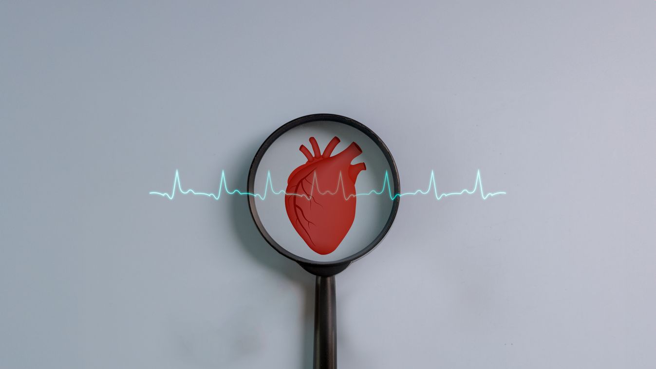 Magnifying,Glass,Focuses,The,Heartbeat,Icon,On,A,Blue,Background