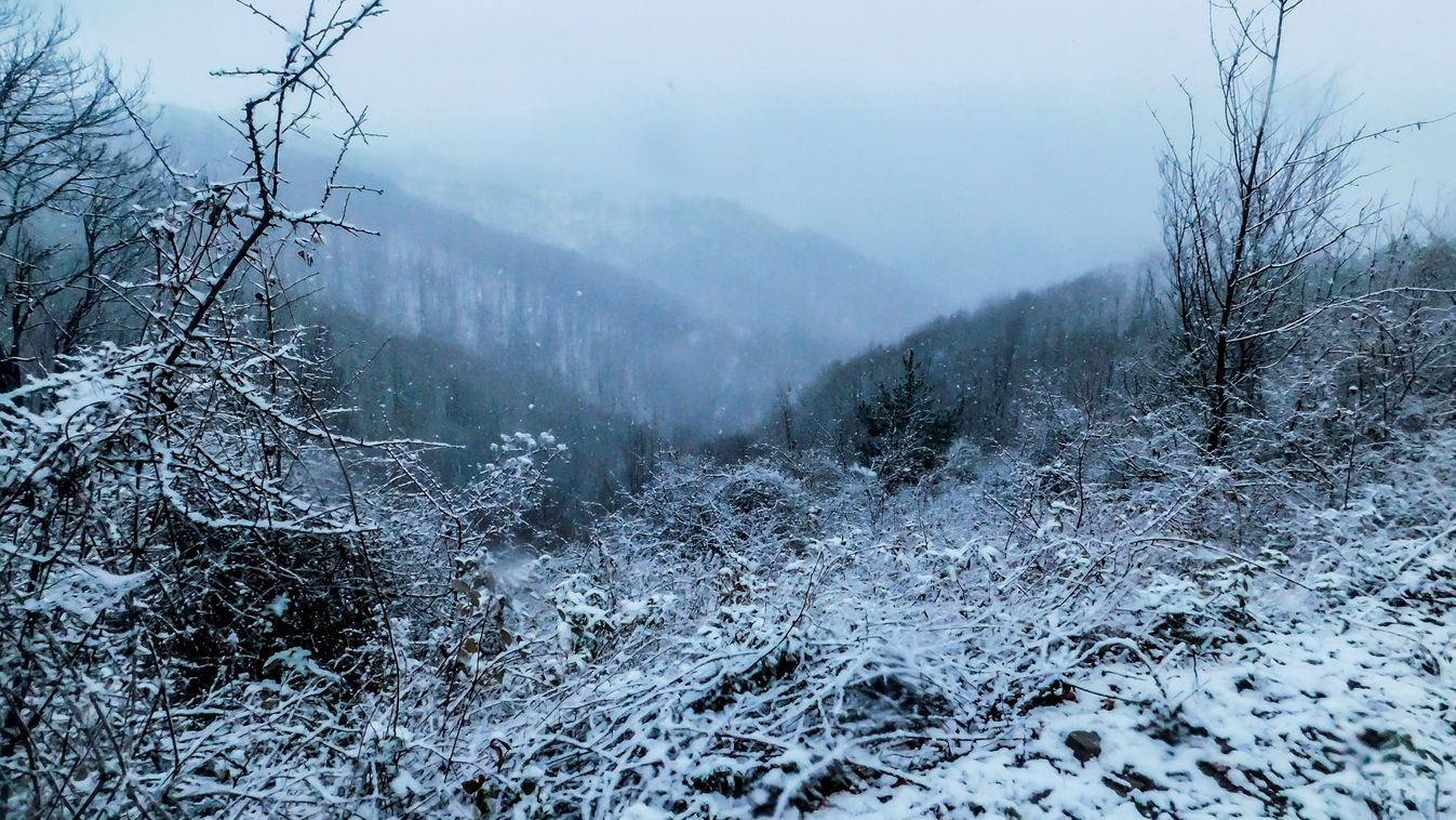 Snow,In,The,Mountain,,Wood,Covered,With,Snow,,Winter,In