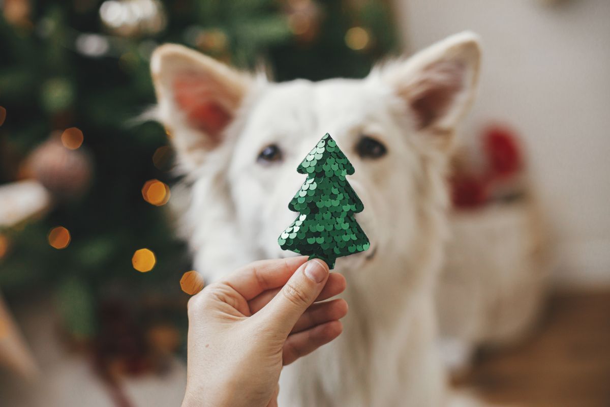 Merry,Christmas,And,Happy,Holidays!woman,Hand,Holding,Christmas,Tree,Toy