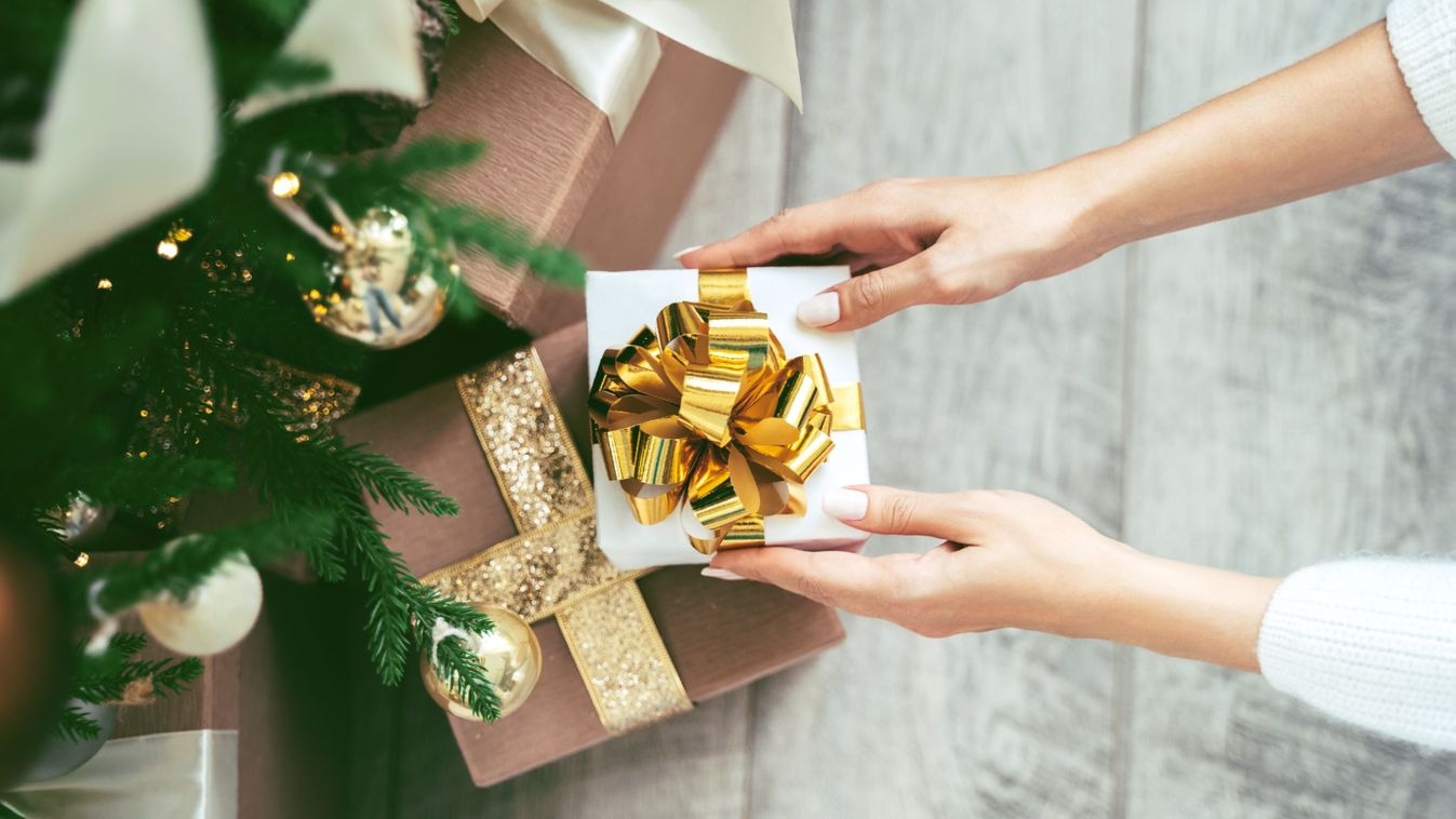 Soft woman hands putting gift box under the Christmas tree