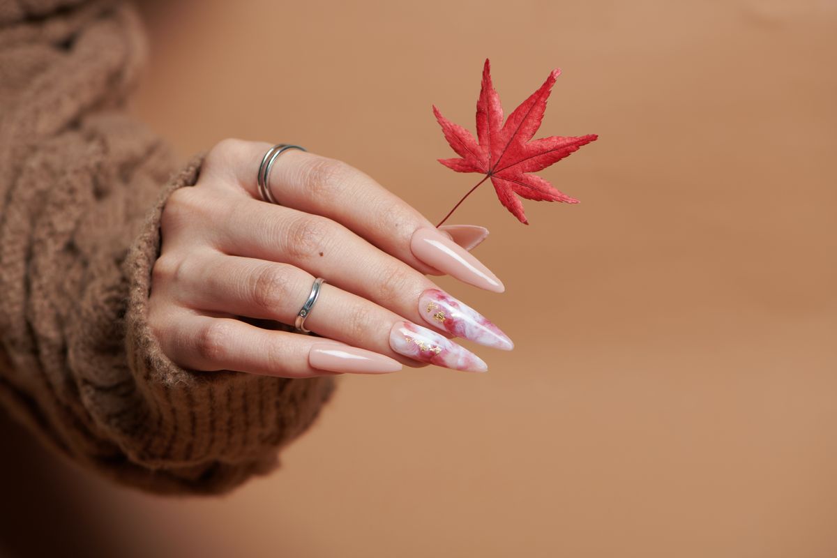 Beautiful,French,Manicure,With,Chrysanthemum,On,White