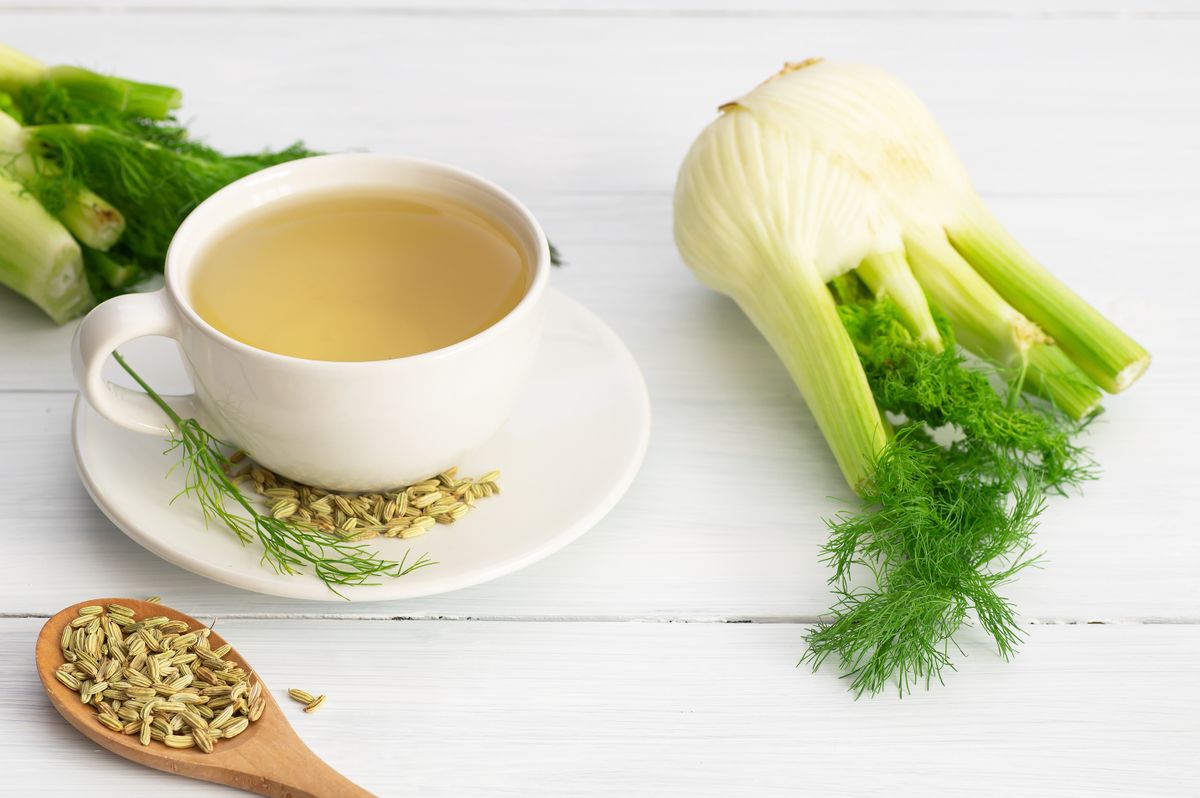 Herbal,Infusion,Fennel,Tea,In,Glass,Cup,Or,Mug,With