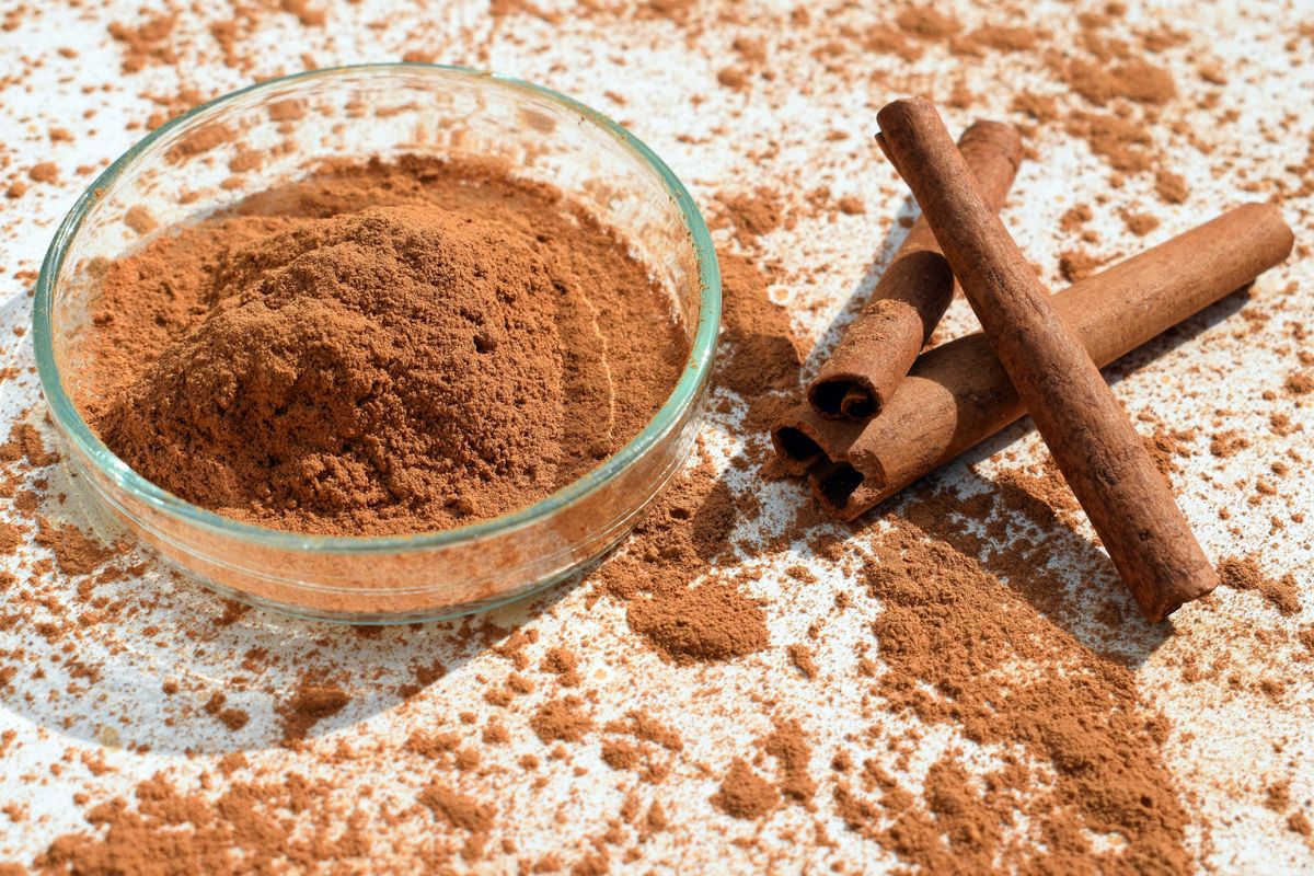 Cinnamon,Powder,In,A,Petri,Dish,And,Cinnamon,Sticks,,White