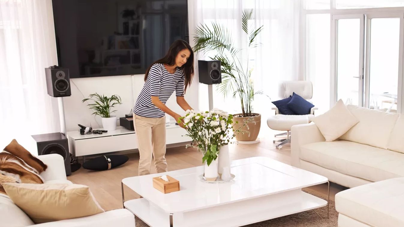 feng shui