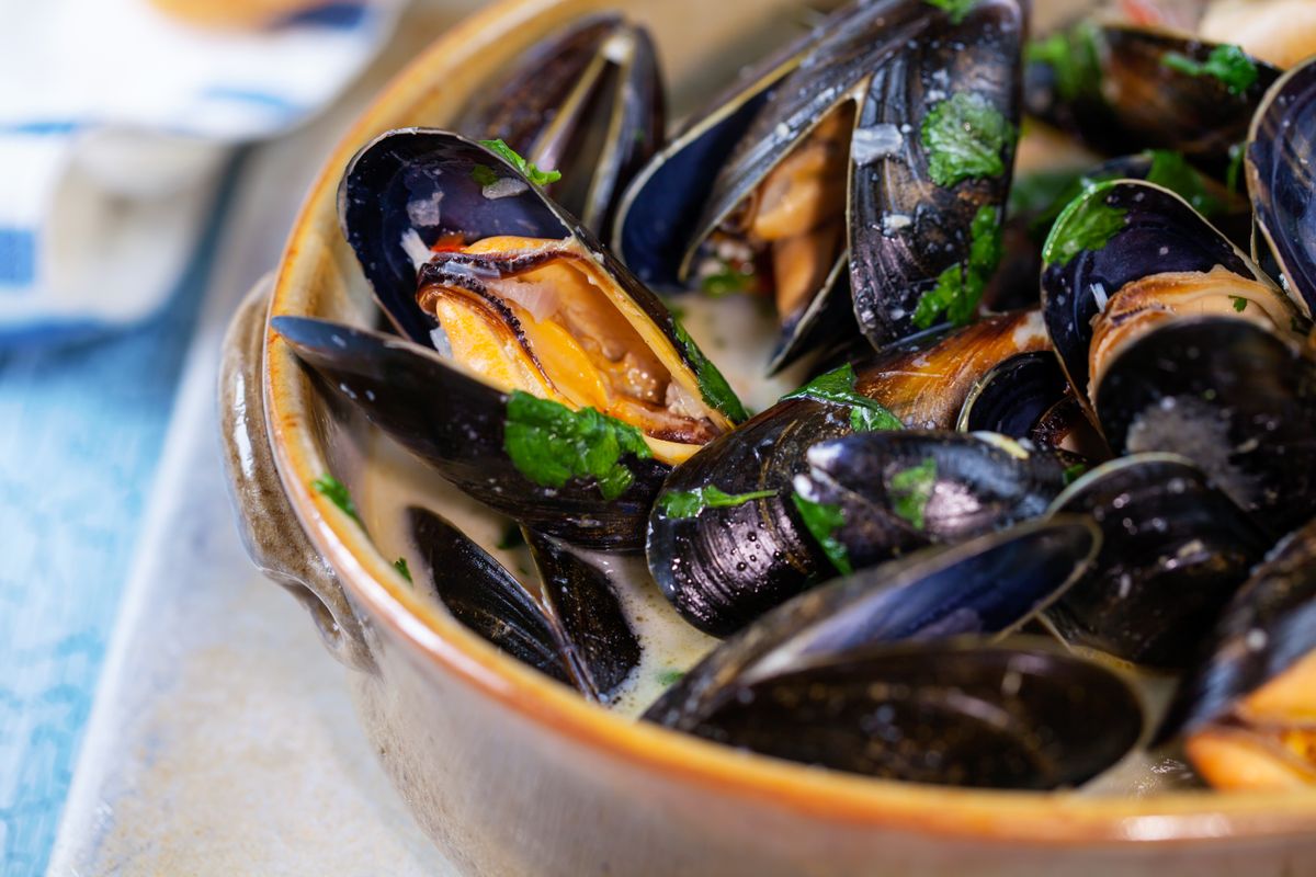 Steamed,Mussels,In,White,Wine,Sauce