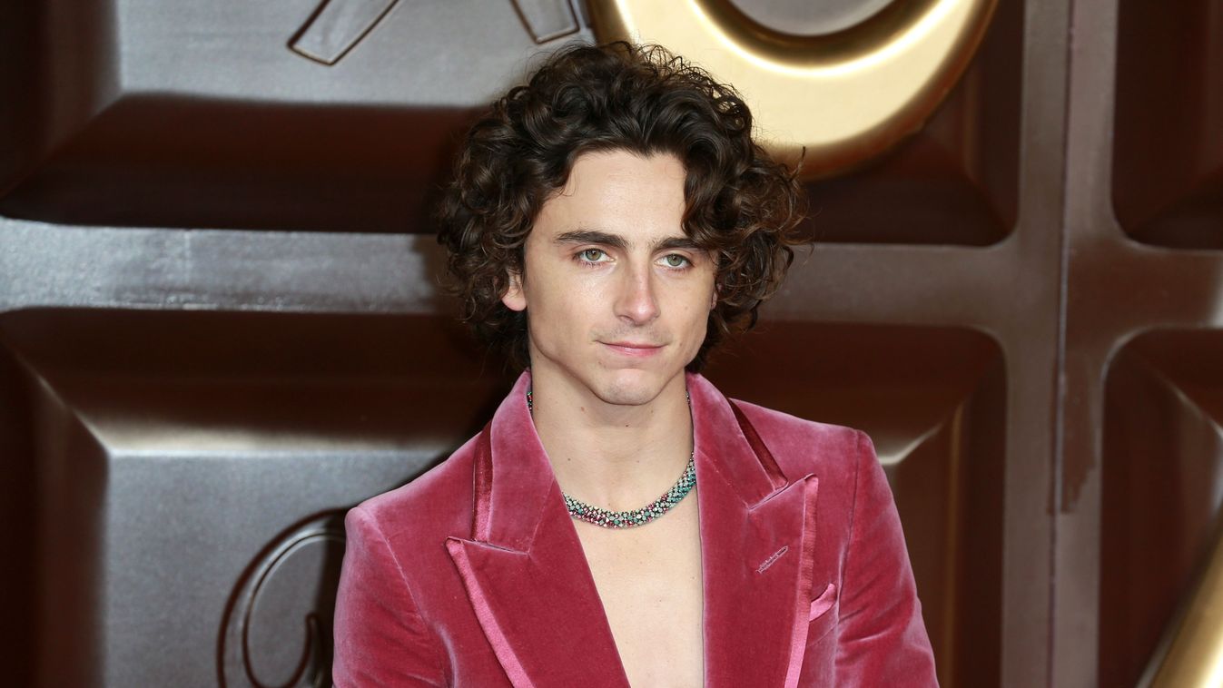 színész, Timothée Chalamet, büntetés