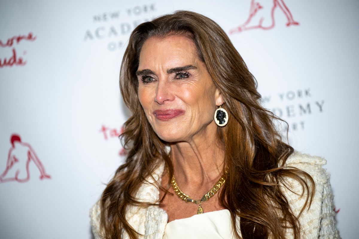 Take Home A Nude Art Auction & Party, brooke shields