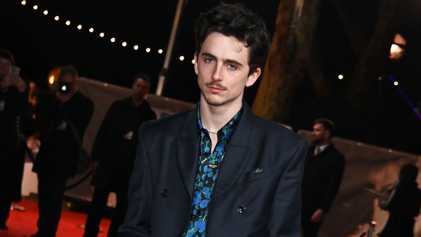 vörös szőnyeg timothy chalamet 