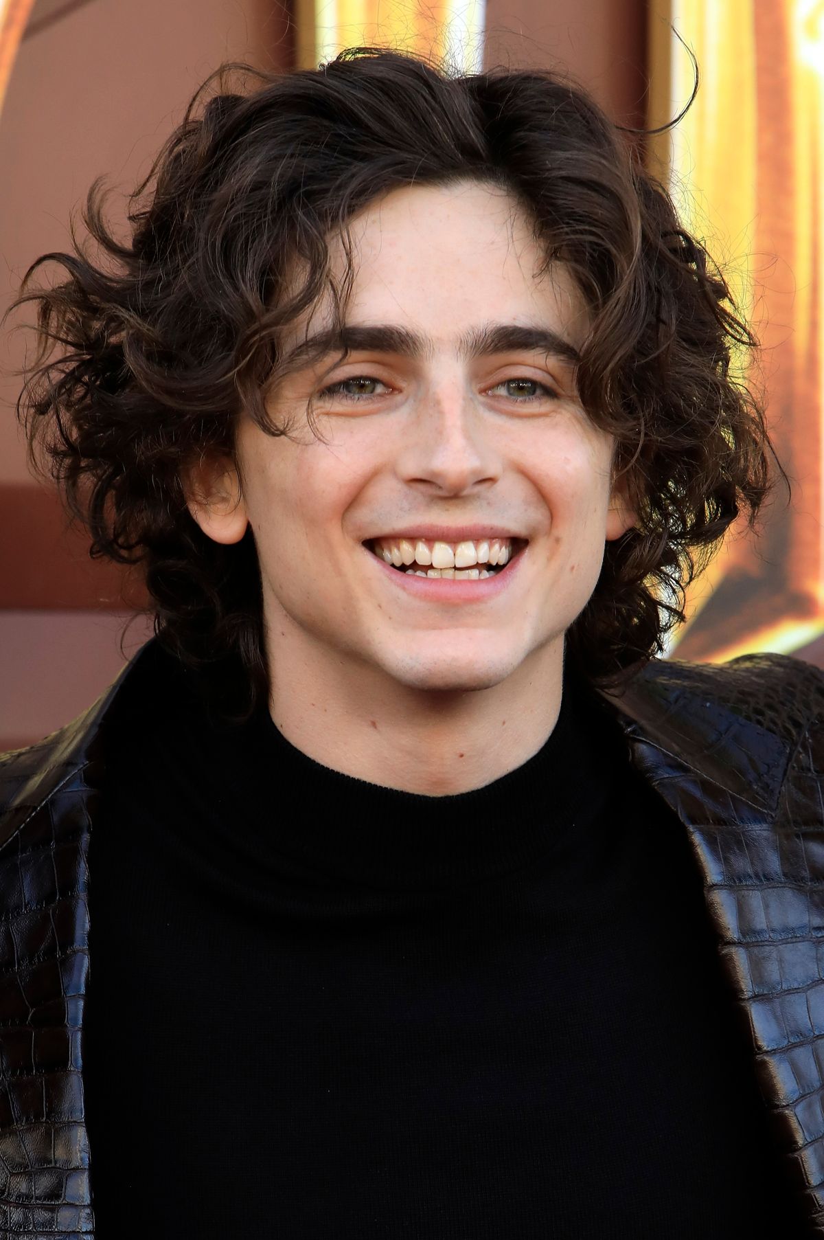 színész, Timothée Chalamet, bírság