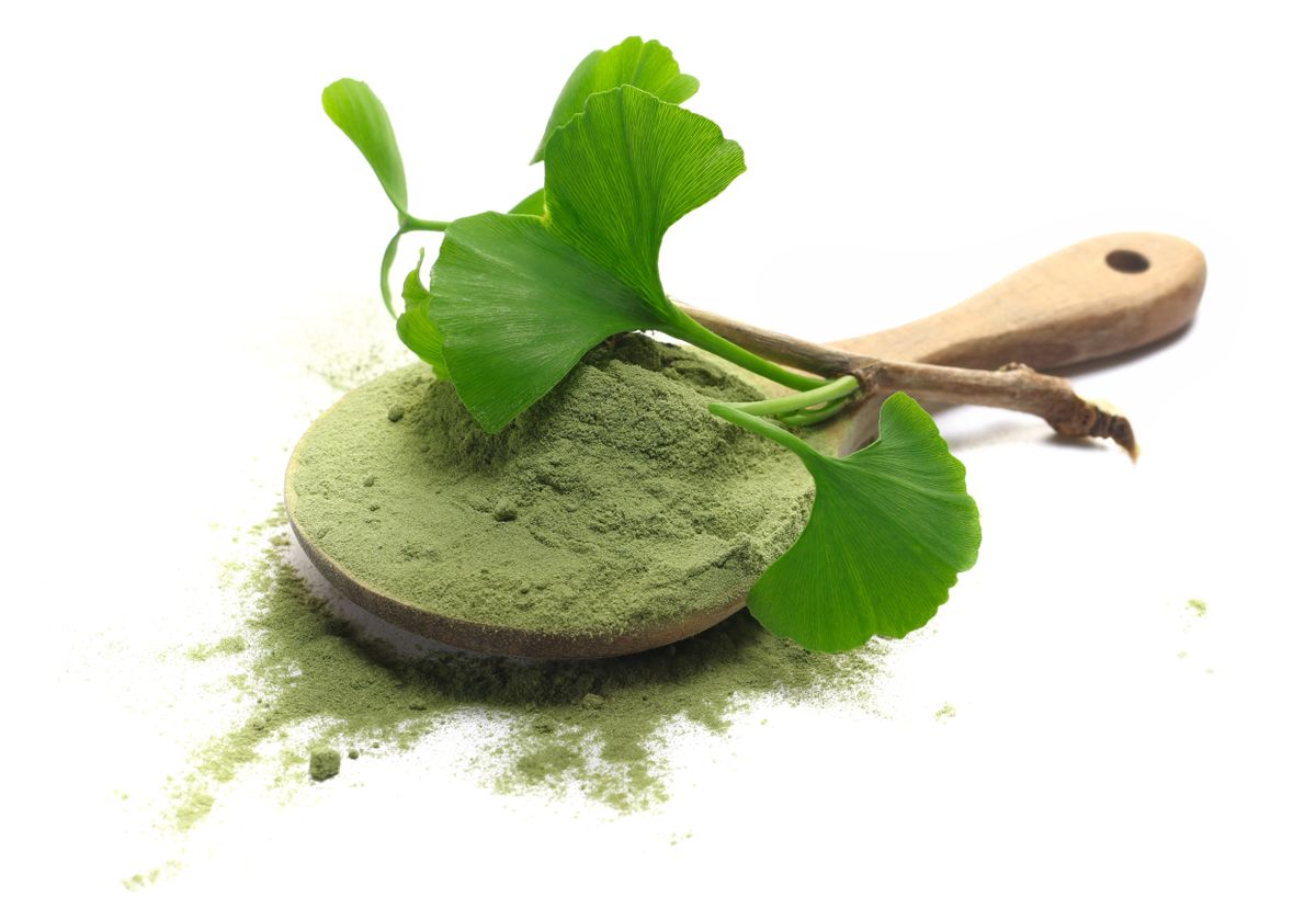 Fresh,Ginkgo,Biloba,Ground,And,Green,Leaves,In,Wooden,Spoon, bilobafa