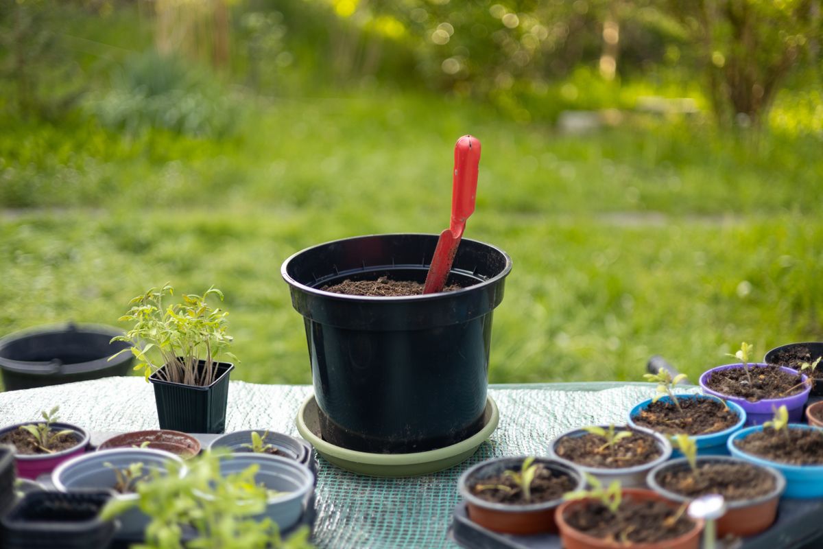 Big,Pot,With,Small,Shovel,And,Soil,To,Transplant,Plants. zöldség