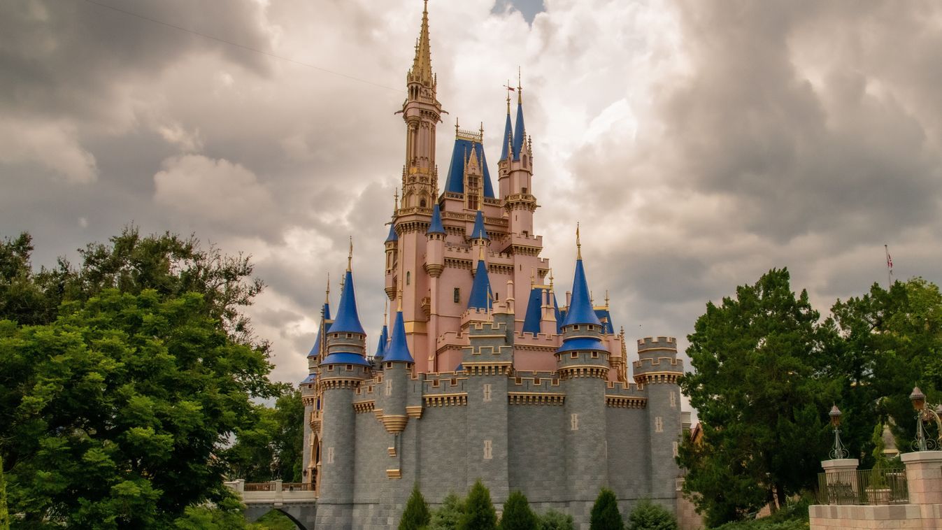Disney hercegnők