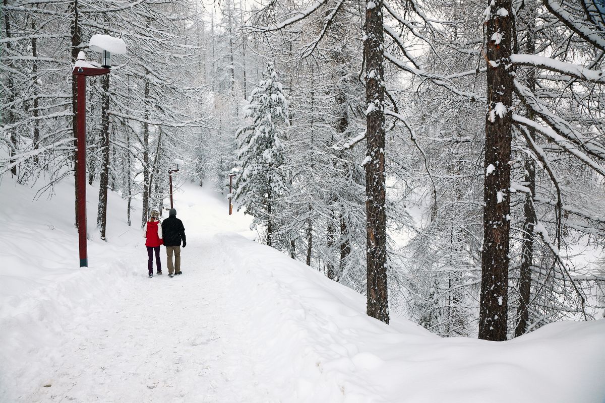 Park covered by snow in winter