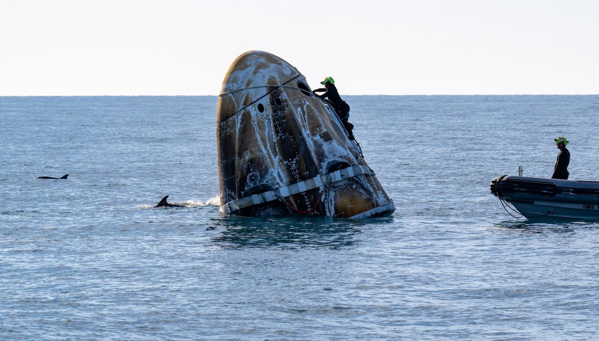 JACKSONVILLE, FLORIDA, MARCH 18: (EDITOR'S NOTE: This handout image was provided by a third-party organization and may not adhere to Getty Images' editorial policy) In this handout image provided by the National Aeronautics and Space Administration (NASA), support teams work on the SpaceX Dragon spacecraft shortly after it landed with NASA astronauts Nick Hague, Suni Williams and Butch Wilmore, and Roscosmos cosmonaut Aleksandr Gorbunov onboard on March 18, 2025 off the coast of Tallahassee, Florida. Williams and Wilmore were returning from a stay onboard the International Space Station that began in June 2024.   Keegan Barber/NASA via Getty Images/AFP (Photo by Handout / GETTY IMAGES NORTH AMERICA / Getty Images via AFP)