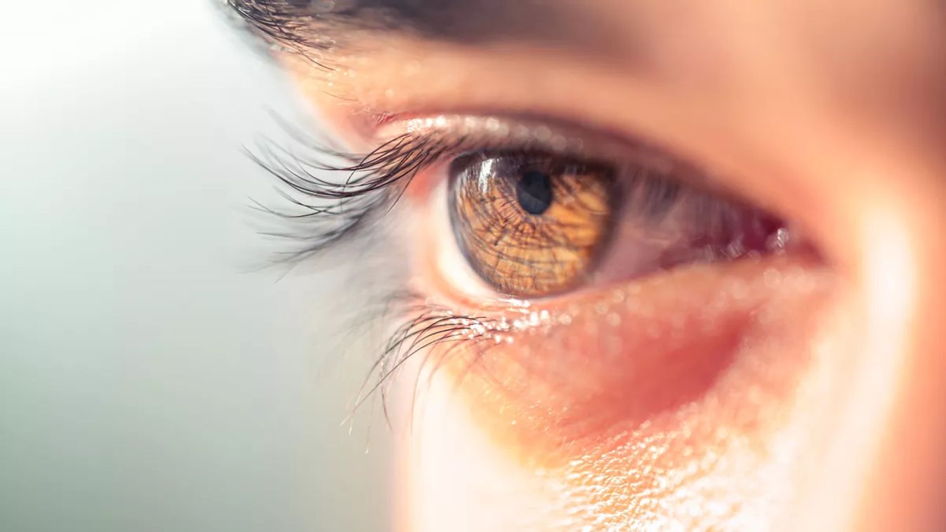 Brown man eye macro shot. Macro shot of a man's eyes.close up view of adult asian man eye with eyelashes and eyebrow looking in front confidently.