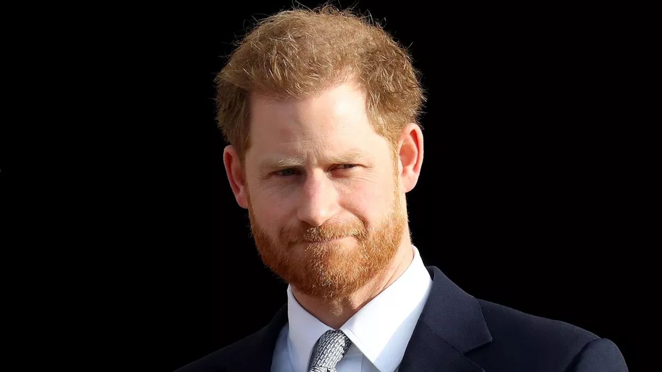 Harry herceg